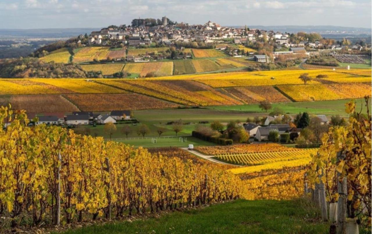 L'Annexe Villa Verdigny Kültér fotó