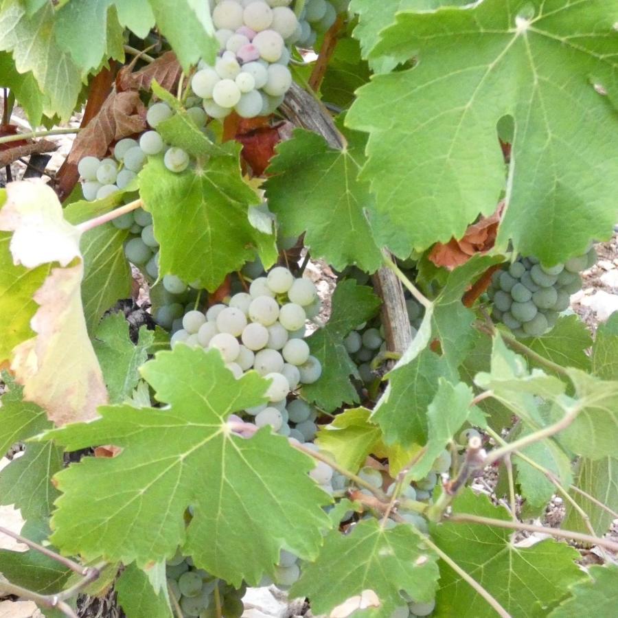 L'Annexe Villa Verdigny Kültér fotó
